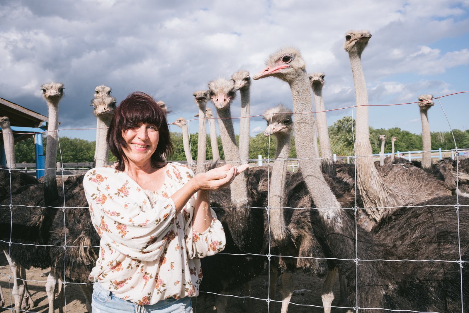 Ostrich Land Store